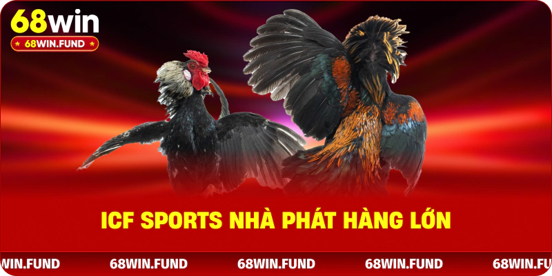 ICF Sports nhà phát hàng lớn